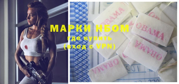 индика Новозыбков