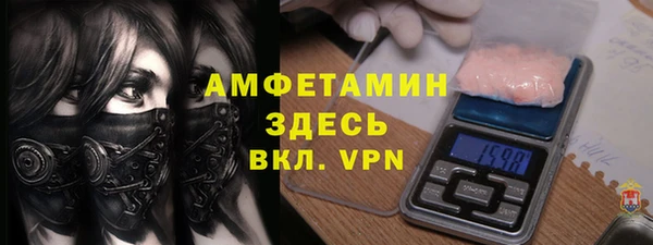 индика Новозыбков