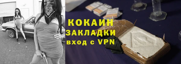 индика Новозыбков