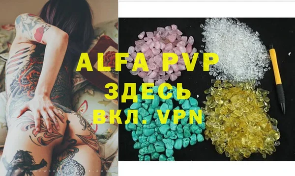индика Новозыбков