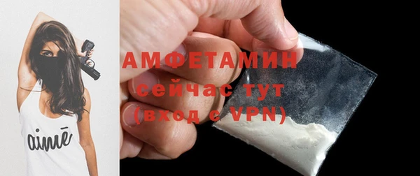 индика Новозыбков