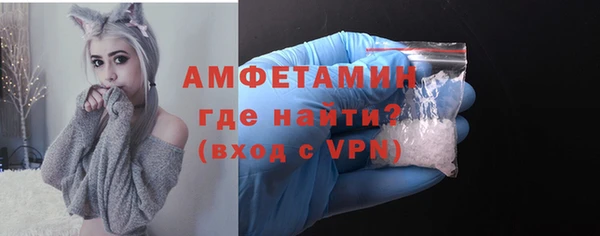 крисы Новодвинск