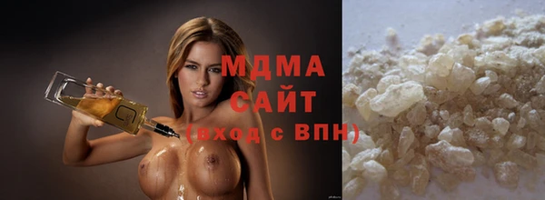индика Новозыбков