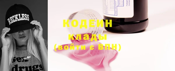 индика Новозыбков