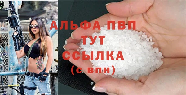 индика Новозыбков