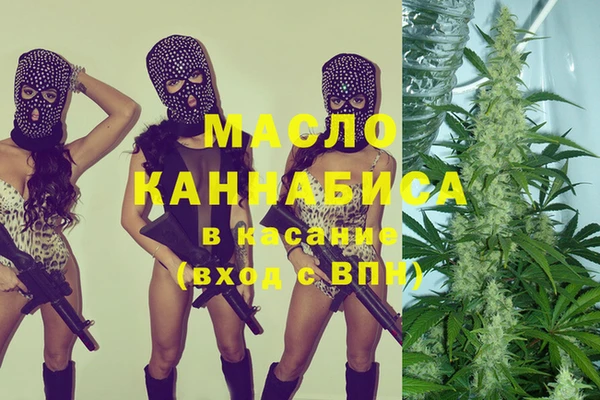 крисы Новодвинск