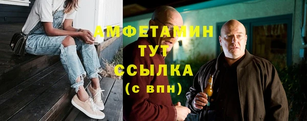 крисы Новодвинск