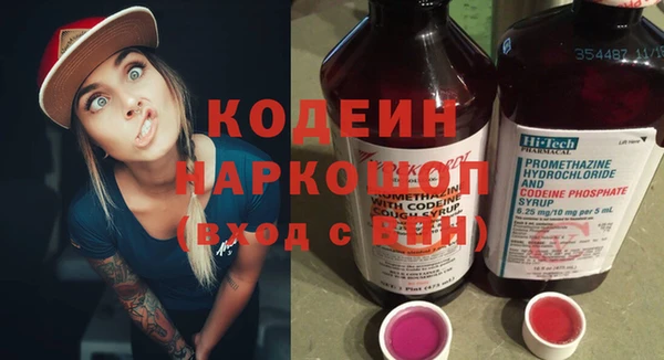 крисы Новодвинск