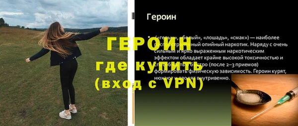 индика Новозыбков