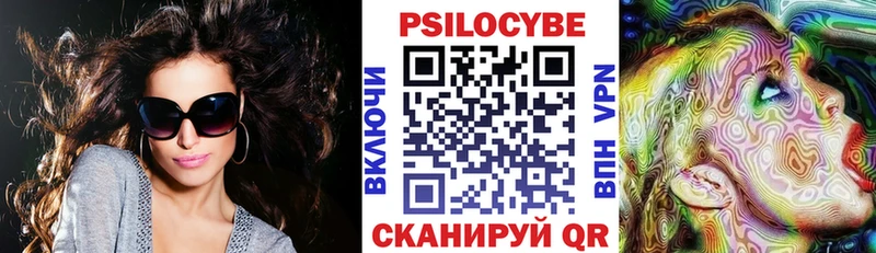 Купить  Белгород  Псилоцибиновые грибы Psilocybine cubensis 