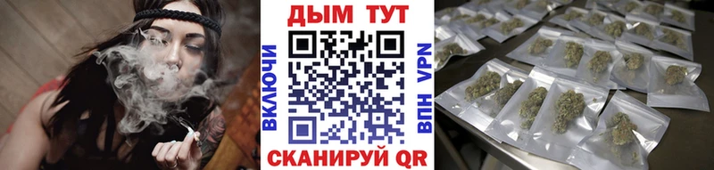 Купить где  Белгород  Бошки марихуана ГИДРОПОН 